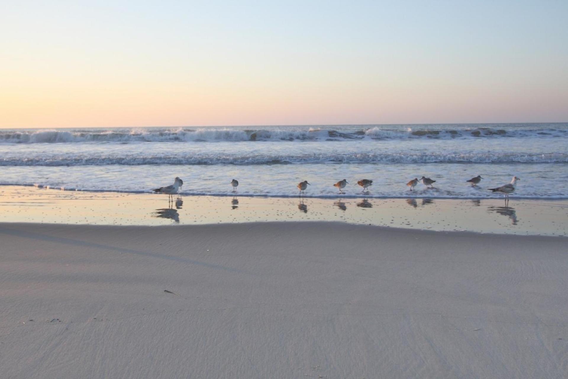 Serenity Folly Beach Exterior foto